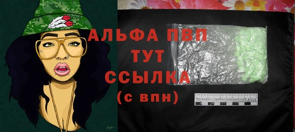 ECSTASY Белокуриха
