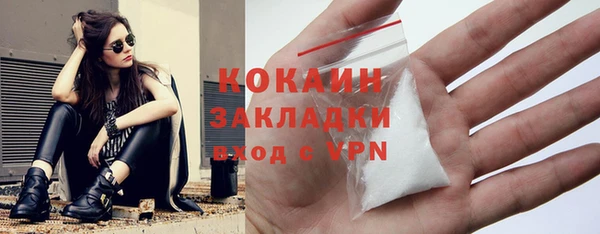 индика Беломорск