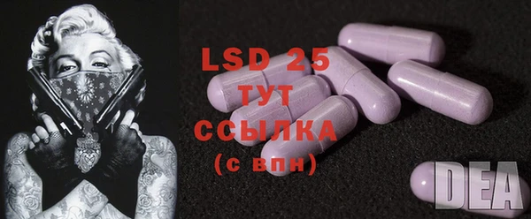 ECSTASY Белокуриха