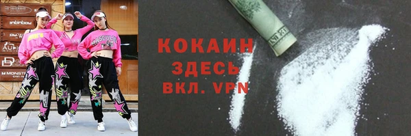 индика Беломорск