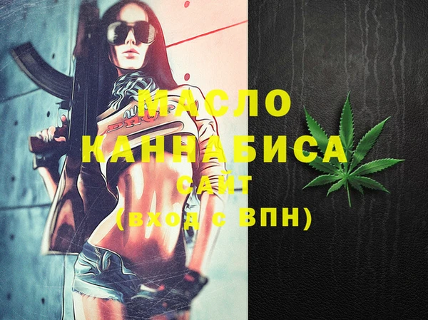 индика Беломорск