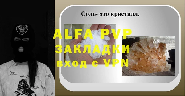 ECSTASY Белокуриха