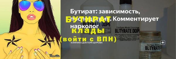 индика Беломорск