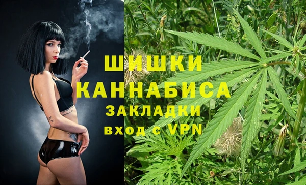 ECSTASY Белокуриха