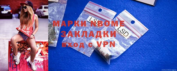 индика Беломорск