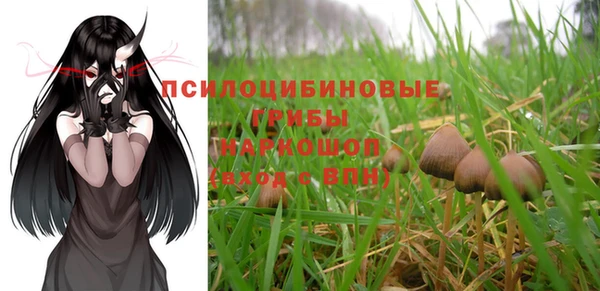 индика Беломорск