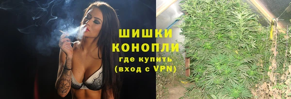 ECSTASY Белокуриха