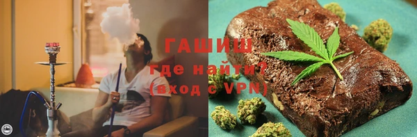 индика Беломорск