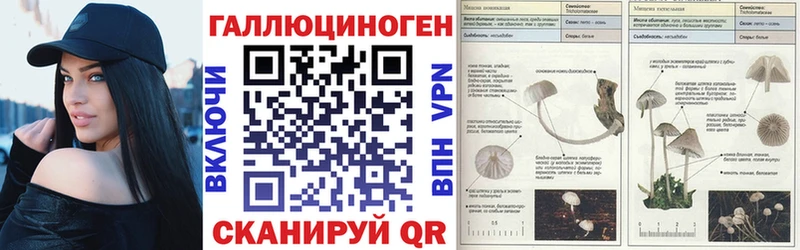 маркетплейс наркотические препараты что такое Высоцк Псилоцибиновые грибы ЛСД